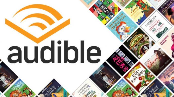 how does audible work