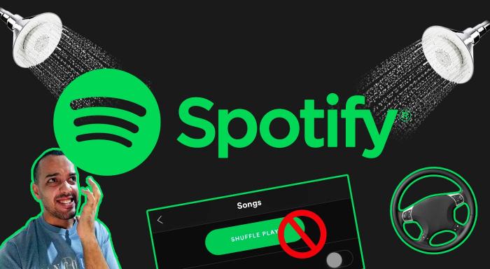 Accéder à Spotify sur les réseaux restreints-1